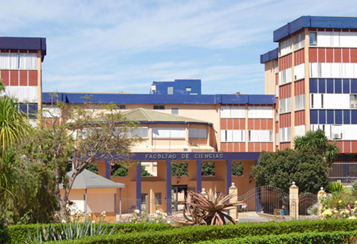 Estudios universitarios